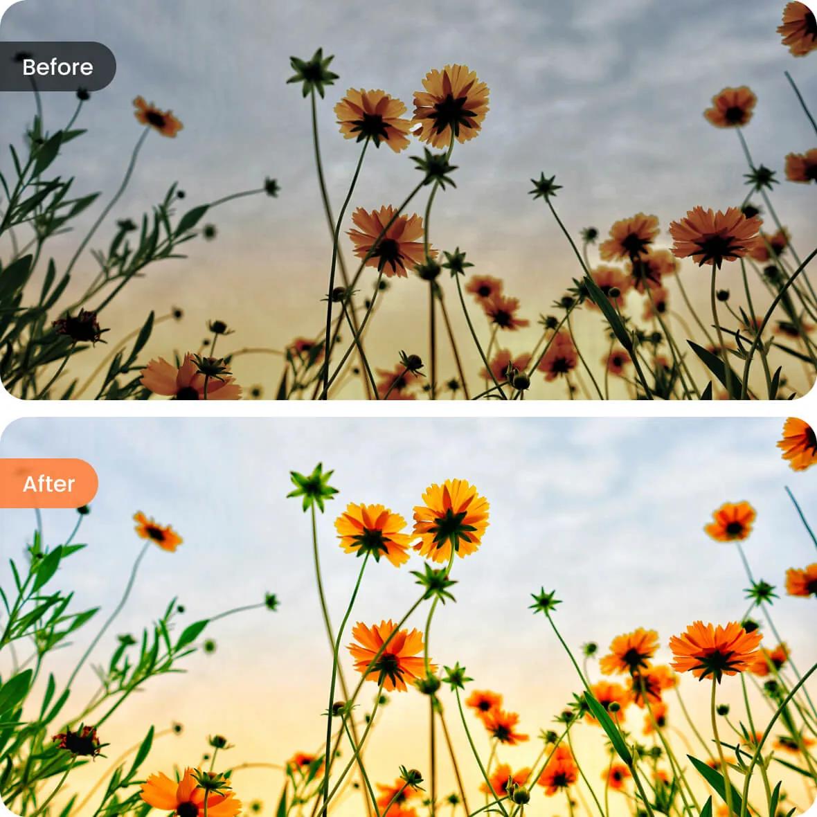Achieve Stunning Color Adjustment with AI