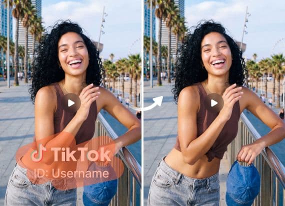 TikTok Watermark Remover 