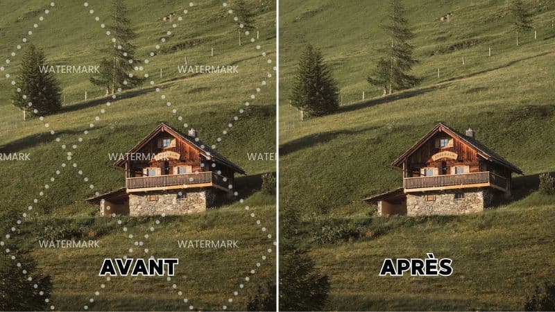 Comment enlever un filigrane sur une photo : les 9 meilleurs outils