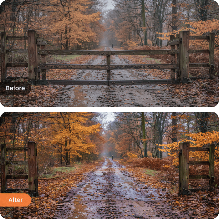 Sublimer les photos de paysages