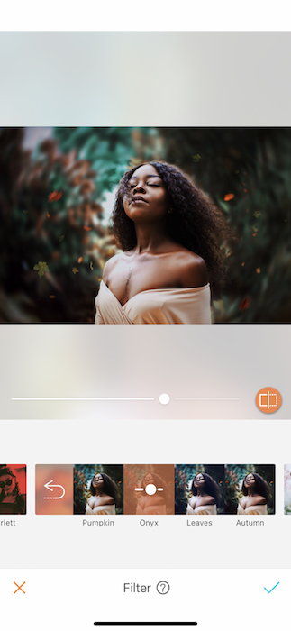 Fall Filters 04