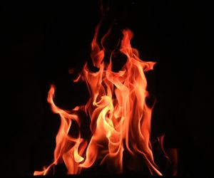 ¿Cuál es tu elemento natural?