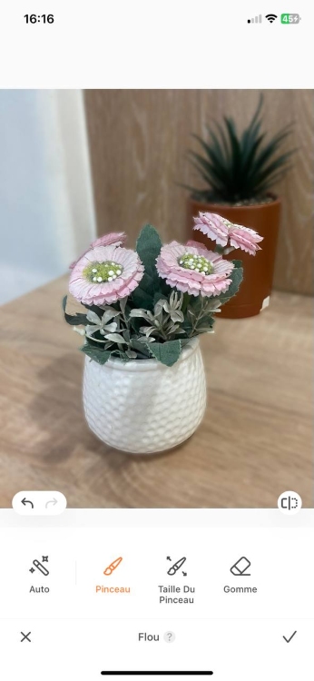 blur background - screenshot flower pot after AB