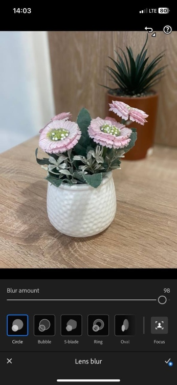 blur background - screenshot flower pot after lightroom