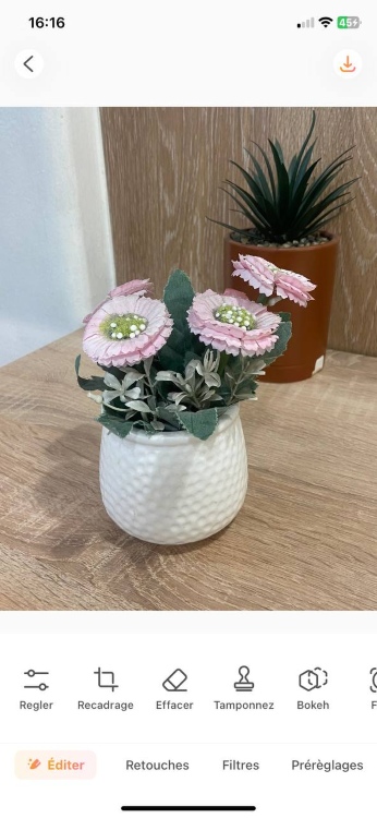 blur background - screenshot flower pot before AB