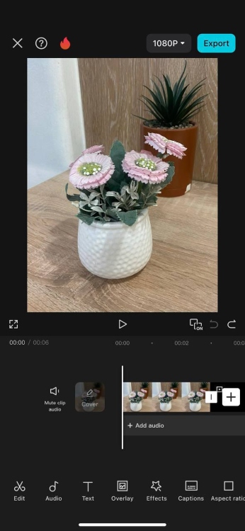 blur background - screenshot flower pot before capcut