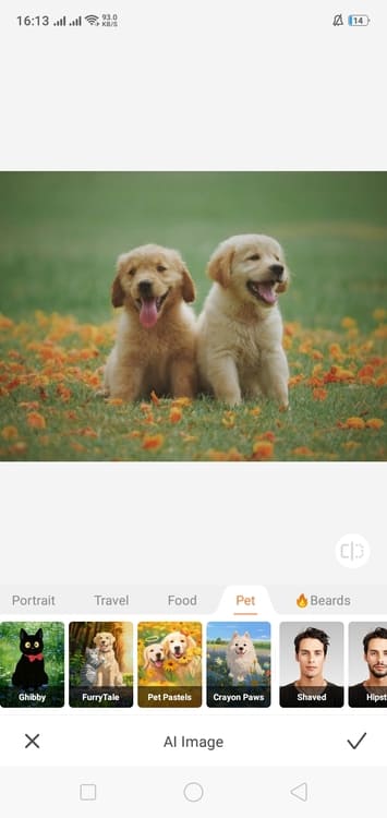 Airbrush AI Image App Screenshot EN - dogs chibby before