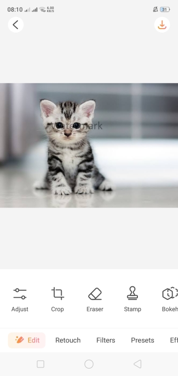 Airbrush AI Replace App Screenshot EN - kitty watermark