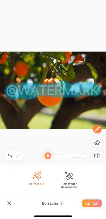Airbrush Watermark Remover App Screenshot PT