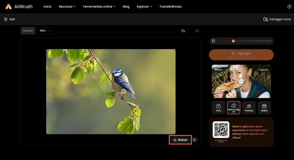 Airbrush Web Screenshot PT - ai object remover remove watermark download