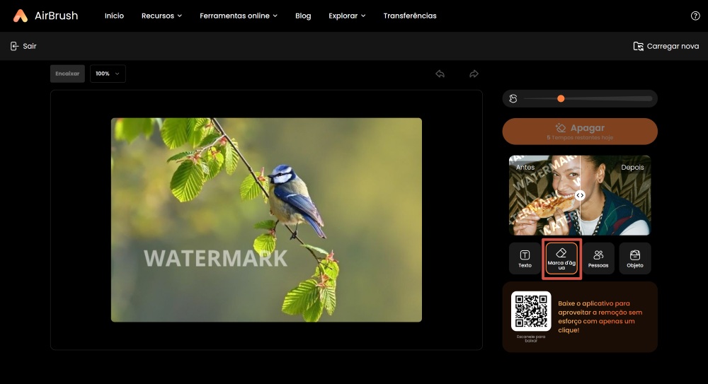 Airbrush Web Screenshot PT - ai object remover remove watermark