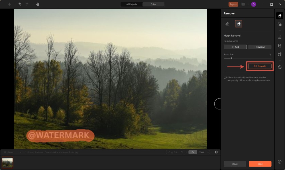 Airbrush Studio Screenshot EN - remove watermark brush and generate