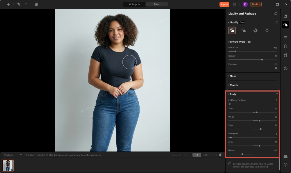 Airbrush Studio Screenshot EN - body editing apps liquify and reshape body tool