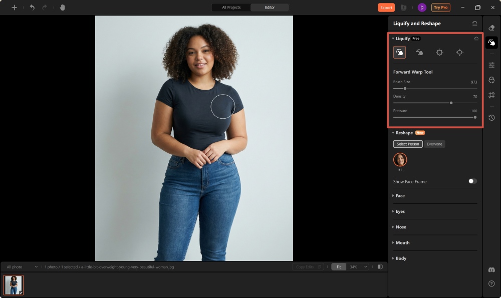 Airbrush Studio Screenshot EN - body editing apps liquify and reshape liquify tool