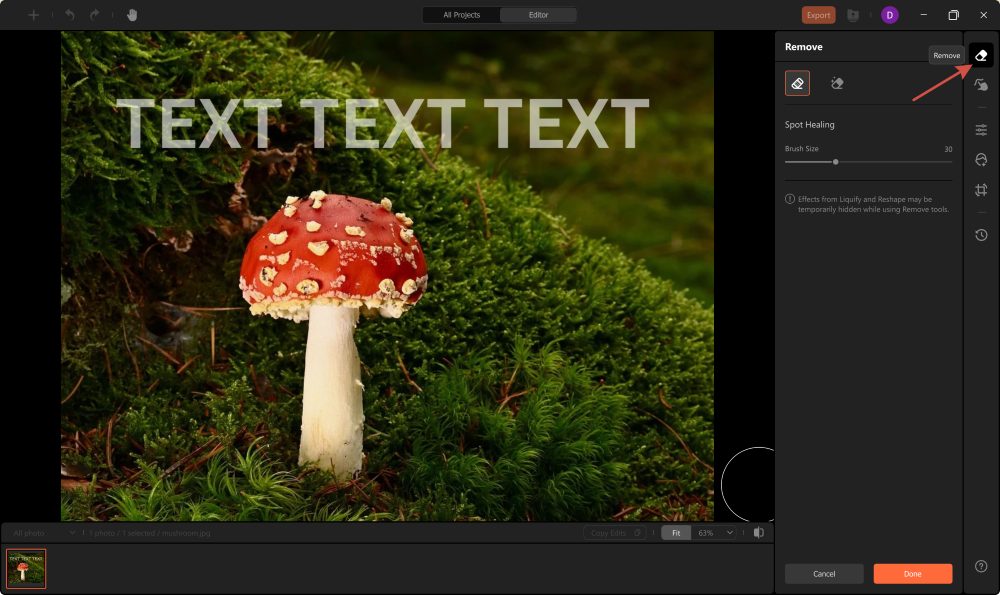 Airbrush Studio Screenshot EN - delete text Remove