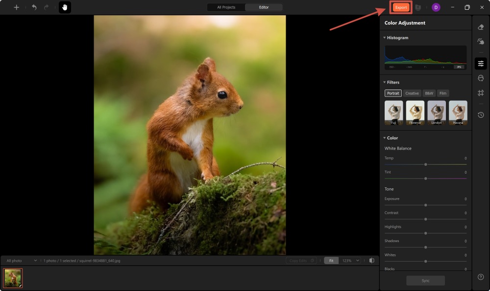 Airbrush Web Screenshot EN - invert image result export