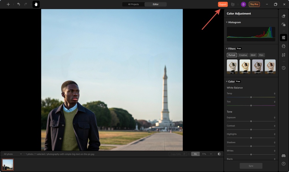 Airbrush Studio Screenshot EN - remove text export the result